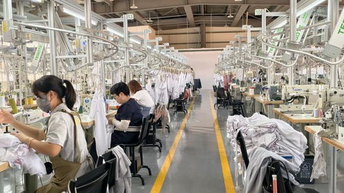 820萬撬來6.42億投資，滬滇協作30年如何重塑西雙版納第一產業